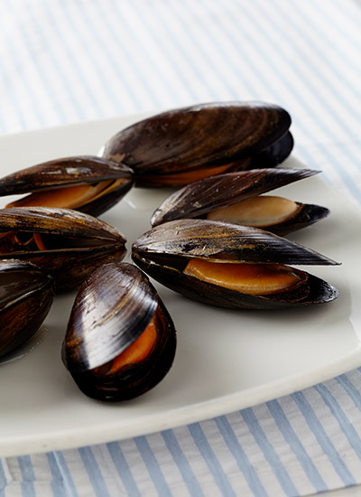 Mejillones